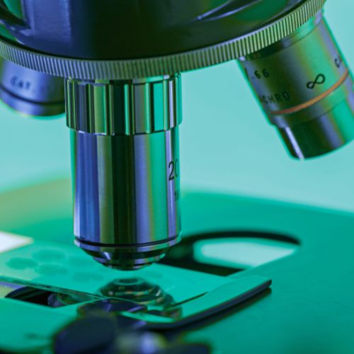 PS Equipment Trading FZ LLC - Microscopes