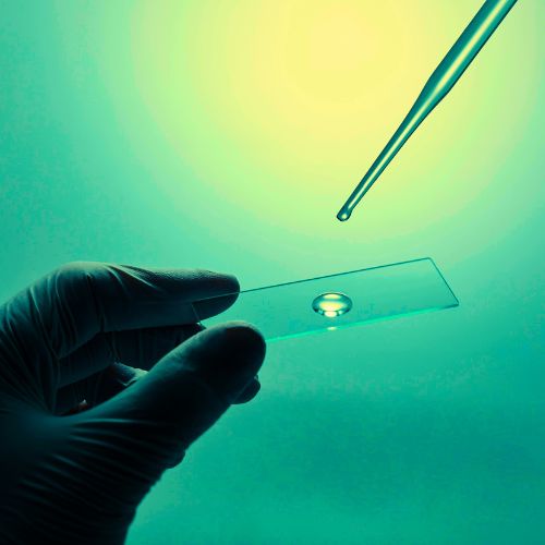 PS Equipment Trading FZ LLC - Pipettes